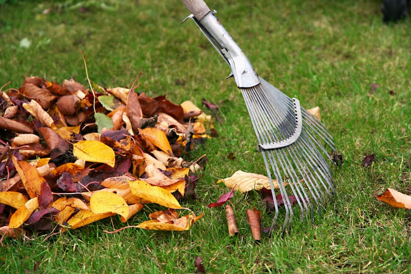 Raking And Mulching: Fall Maintenance
