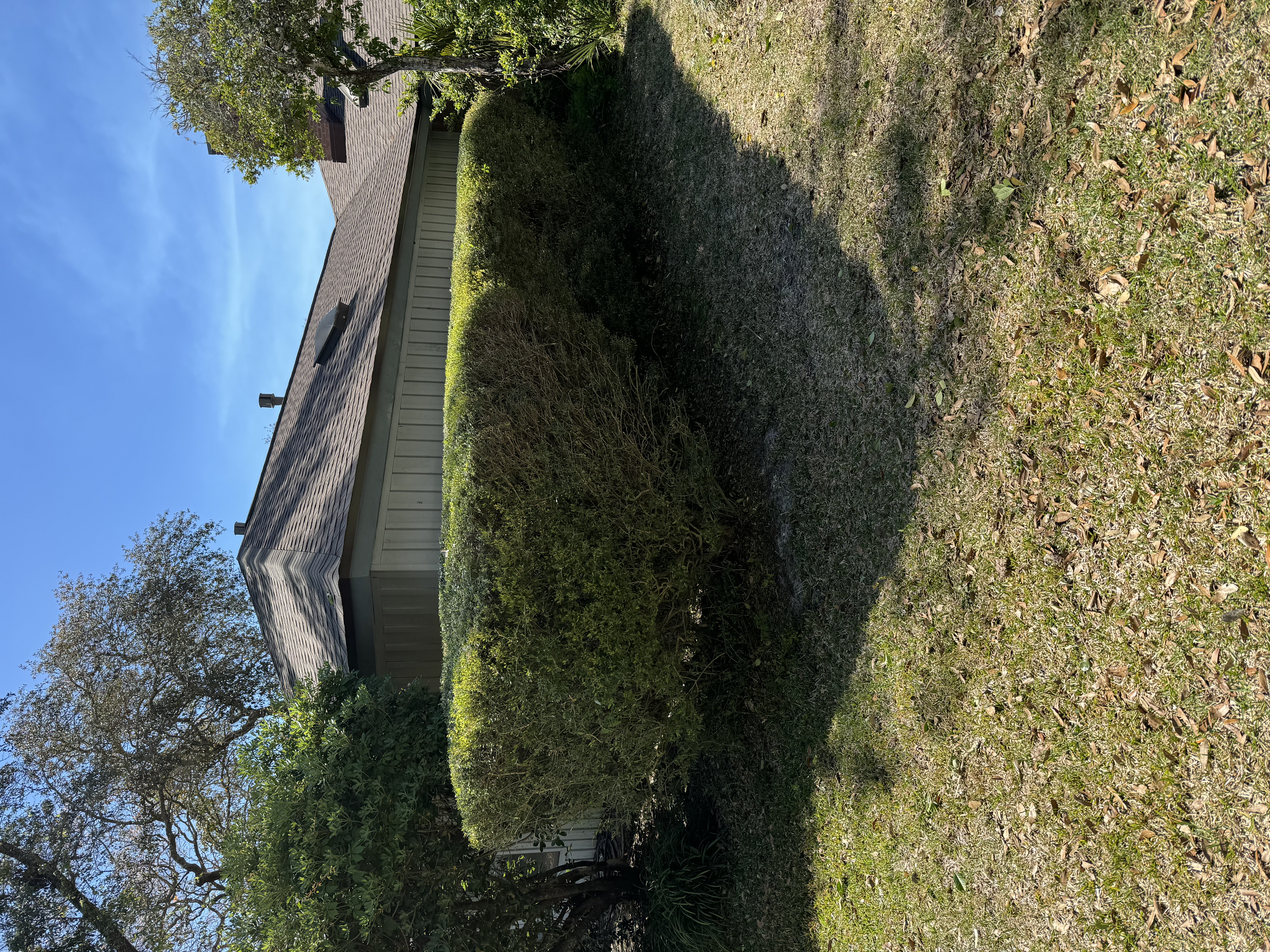 Hedge & Shrub Trimming in Fort Walton Beach