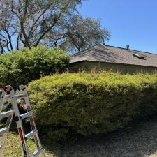 Hedge-Shrub-Trimming-in-Fort-Walton-Beach 2