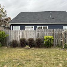 Hedge-Shrub-Trimming-in-Fort-Walton-Beach 0