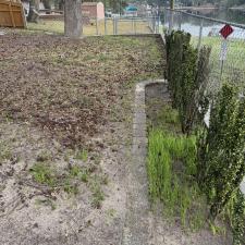 Leaf-Clean-up-in-Shalimar 3