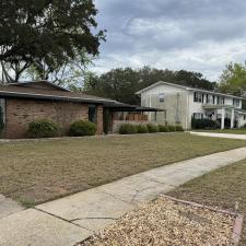 Leaf-Clean-up-in-Shalimar 0
