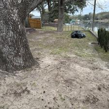 Leaf-Clean-up-in-Shalimar 1