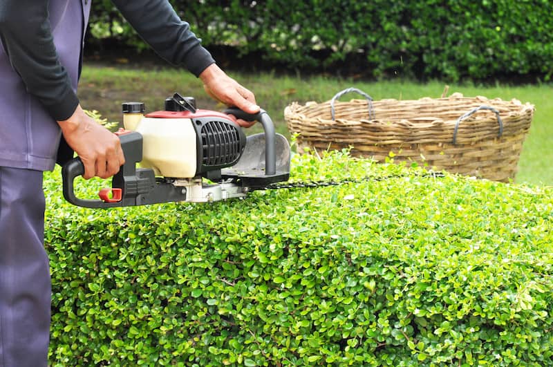 Hedge & Shrub Trimming