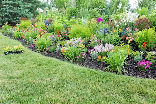 Flower Bed Maintenance