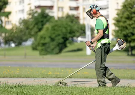 Weed Eating & Trimming